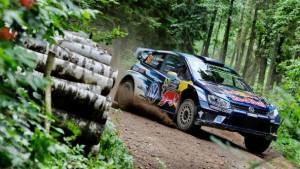 9131_MIKKELSEN-wood_poland-2016_592x333